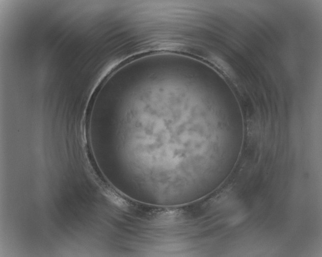 X0000068740891200604281136