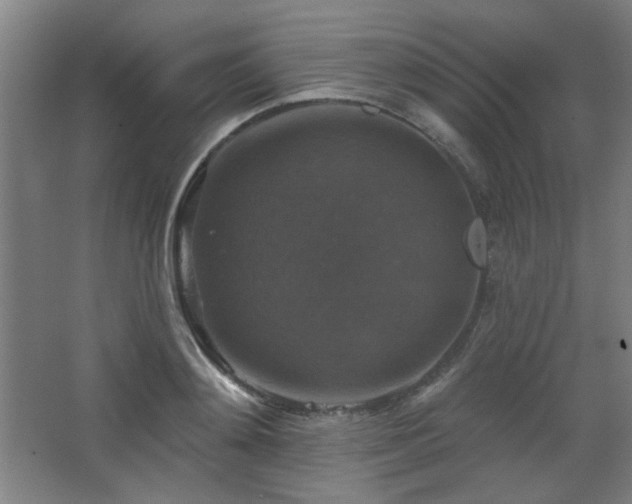 X0000068740892200604281136