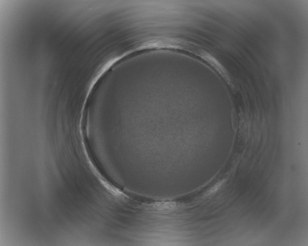 X0000068740893200604281136