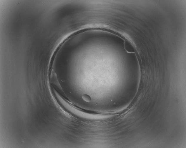 X0000068740895200604281136