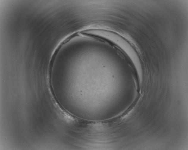 X0000068740896200604281136