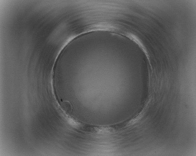 X0000068740899200604281136