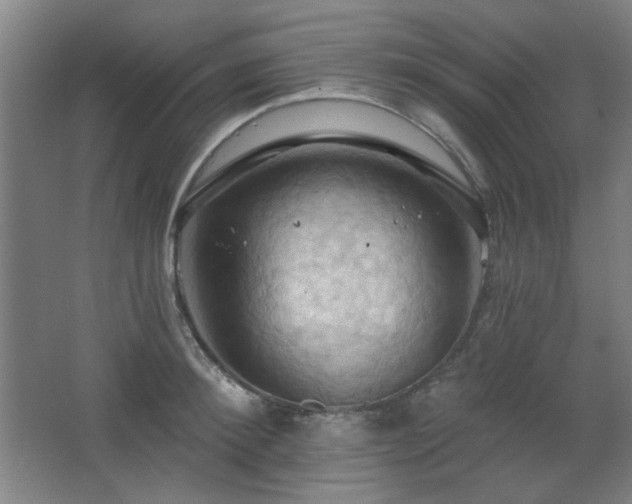 X0000068740900200604281136