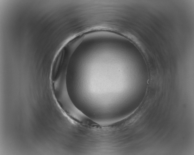 X0000068740902200604281136