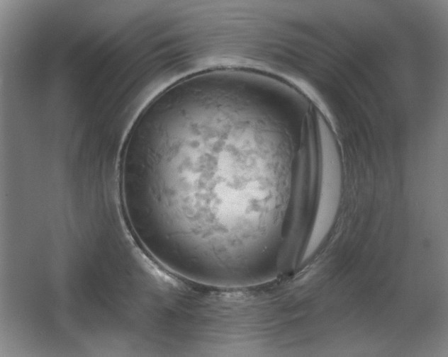 X0000068740903200604281136