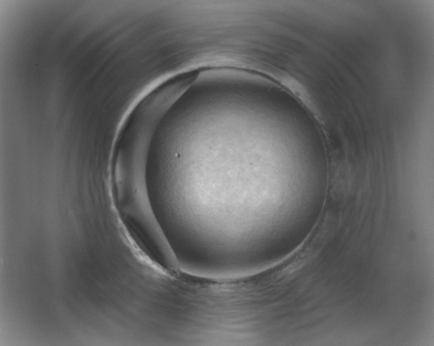 X0000068740904200604281136