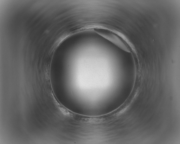 X0000068740905200604281136