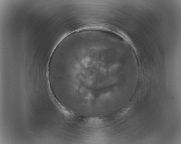 X0000068740907200604281136