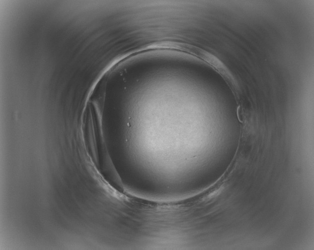 X0000068740908200604281136