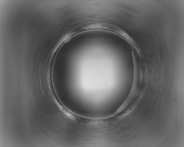 X0000068740909200604281136