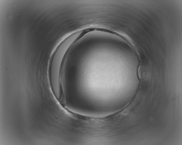 X0000068740910200604281136