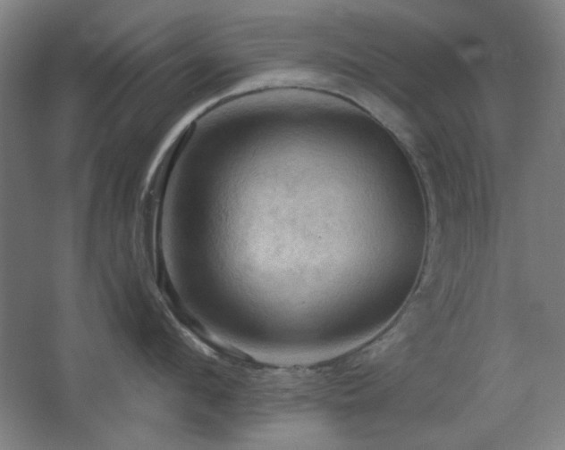 X0000068740912200604281136