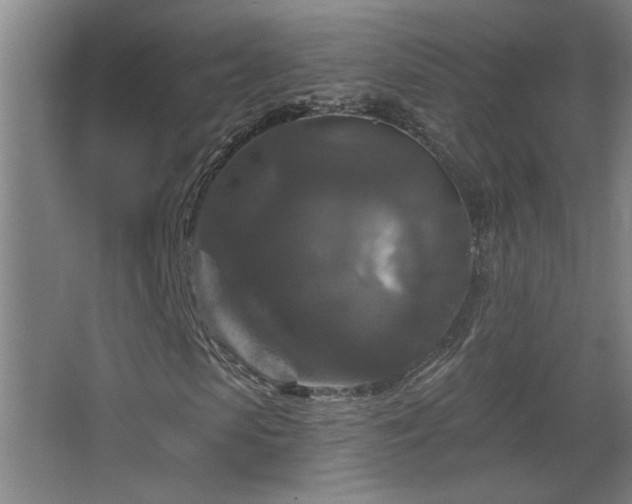 X0000068740913200604281135