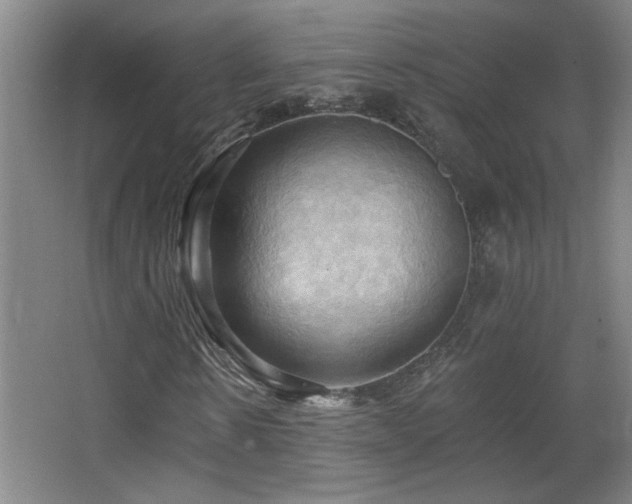 X0000068740914200604281135