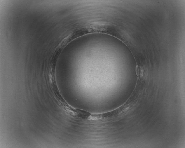 X0000068740915200604281135