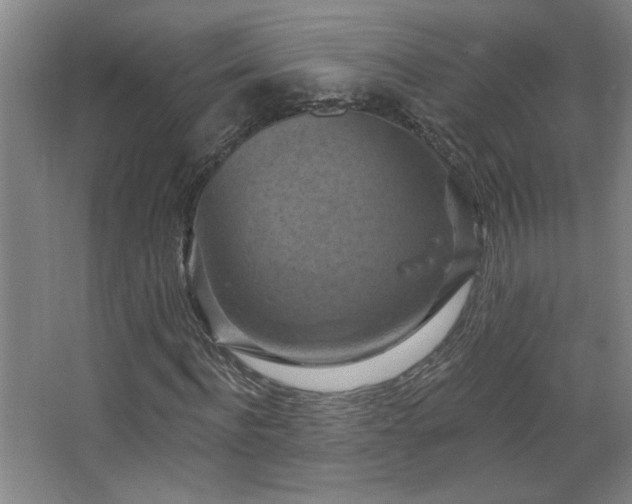 X0000068740916200604281135