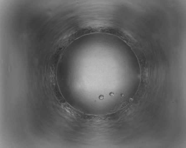 X0000068740917200604281135