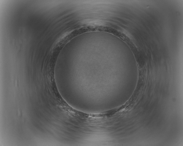 X0000068740919200604281135