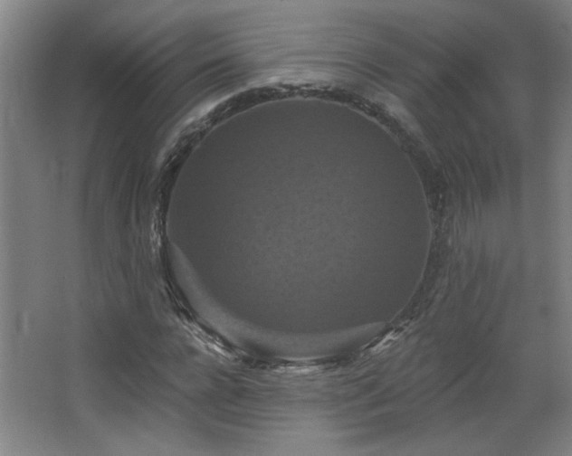 X0000068740920200604281135