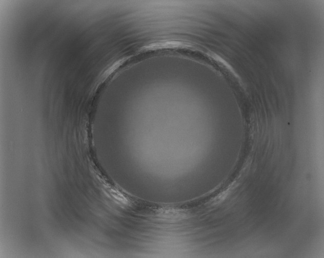 X0000068740921200604281135