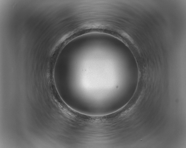 X0000068740922200604281135