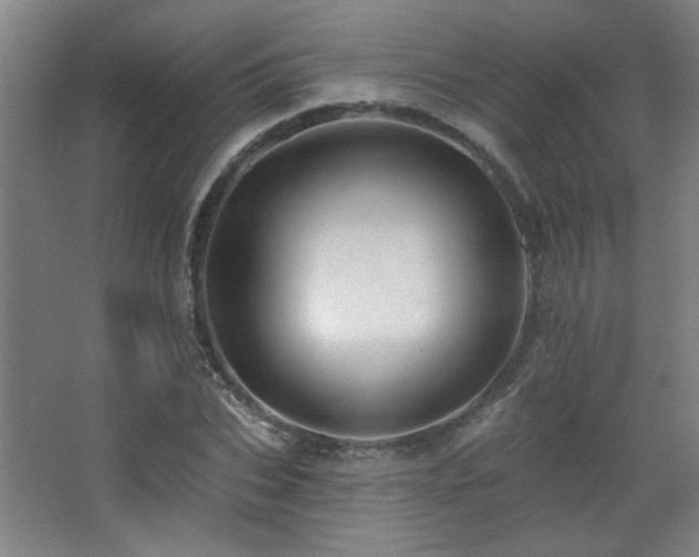 X0000068740927200604281136