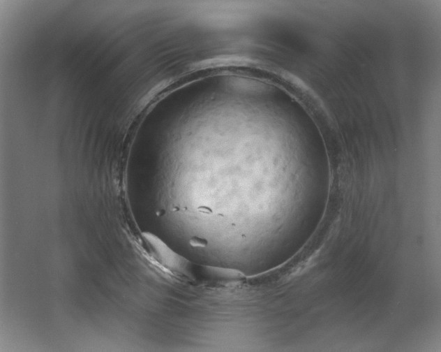 X0000068740929200604281136