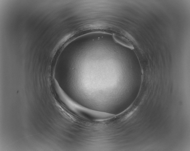 X0000068740930200604281136