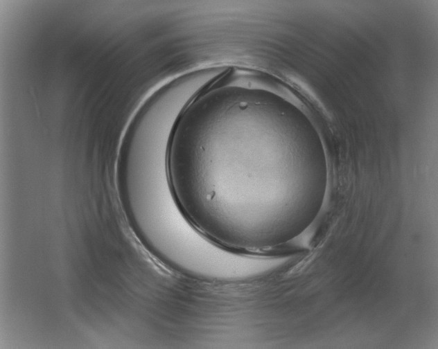 X0000068740932200604281136