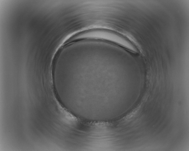 X0000068740934200604281136