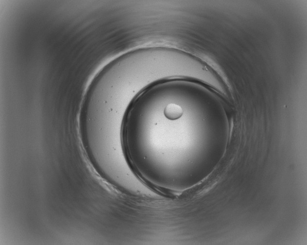 X0000068740936200604281136