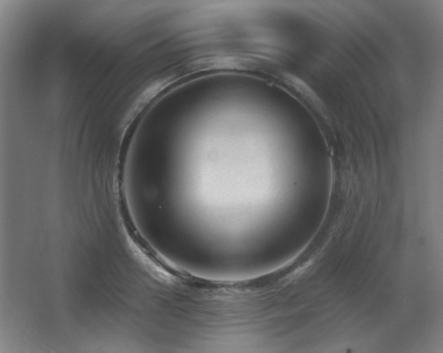 X0000068740938200604281136