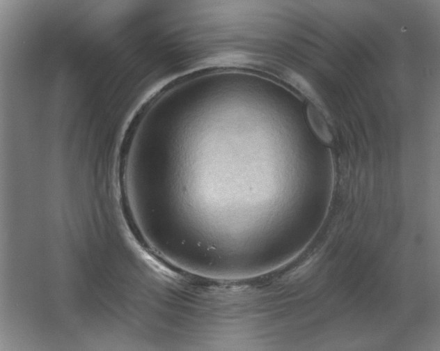 X0000068740939200604281136