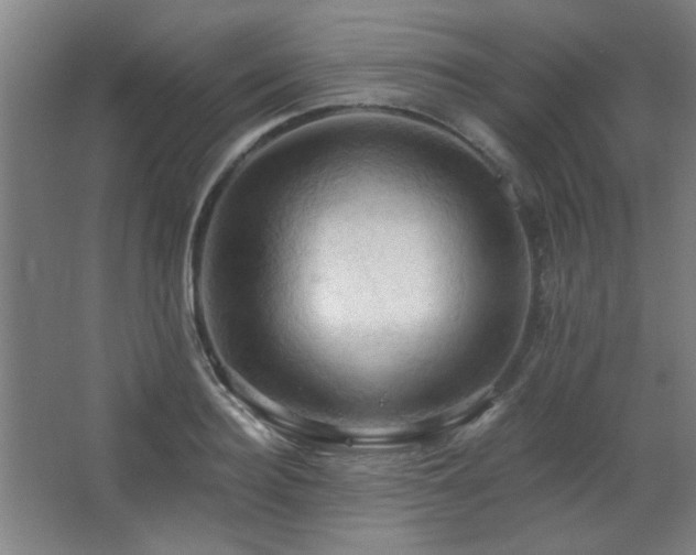 X0000068740940200604281136