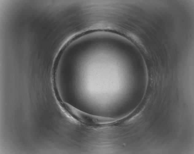 X0000068740942200604281136