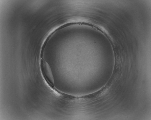 X0000068740943200604281136