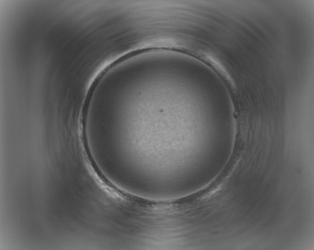 X0000068740944200604281136