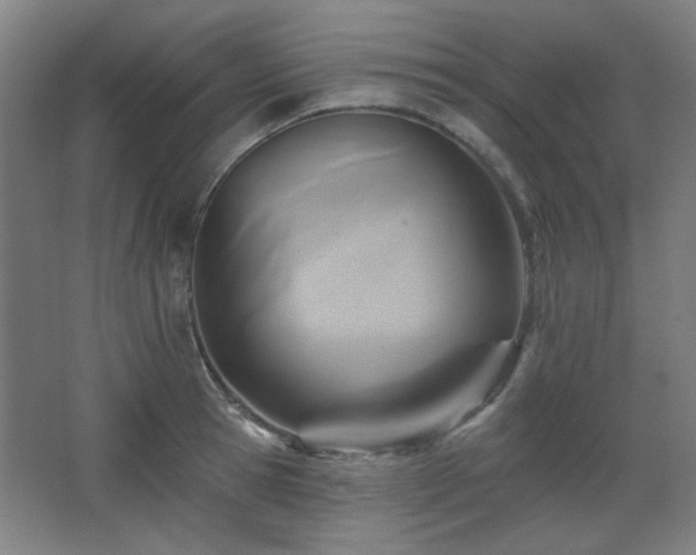 X0000068740945200604281136