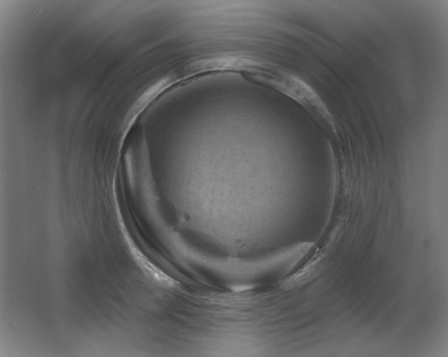 X0000068740946200604281136