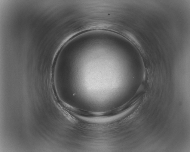 X0000068740948200604281136