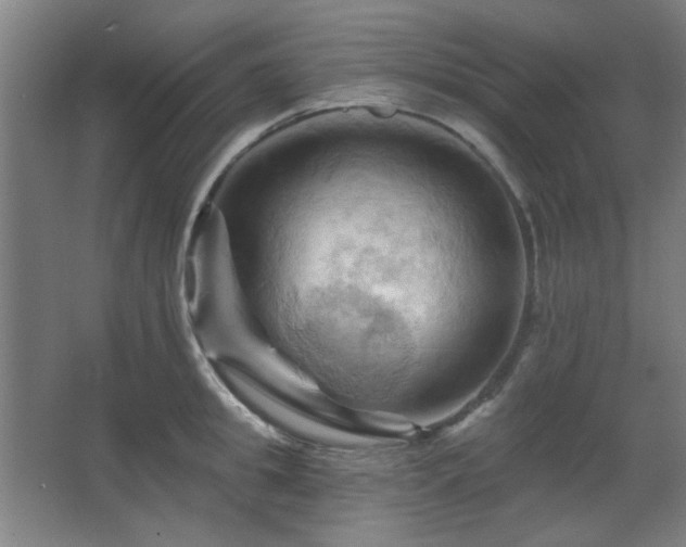 X0000068740949200604281136