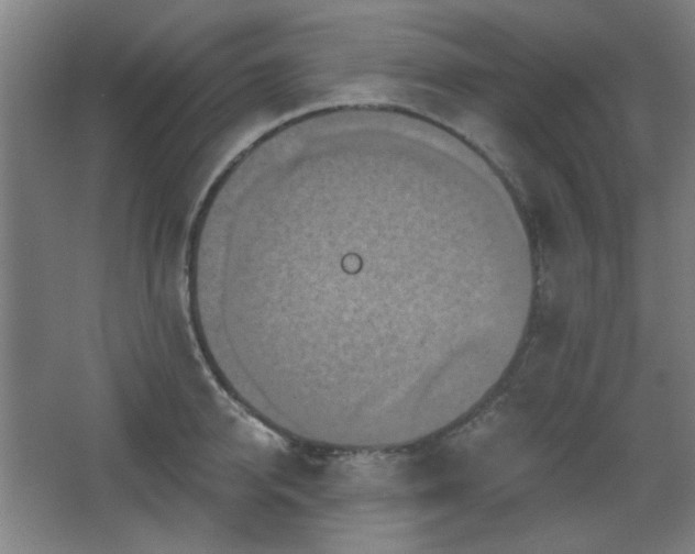 X0000068740950200604281136