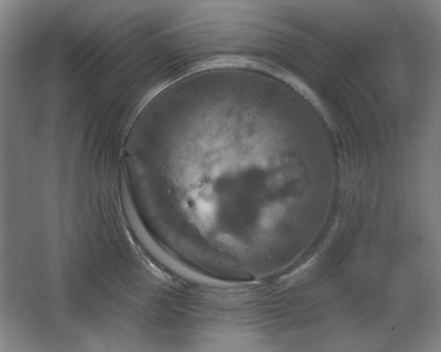 X0000068740953200604281136