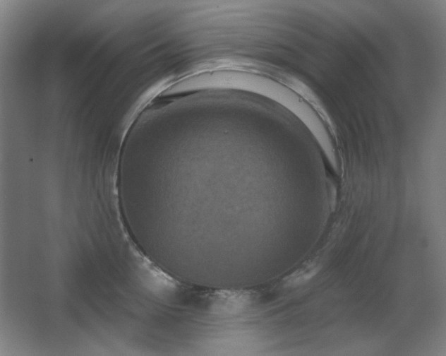 X0000068740954200604281136