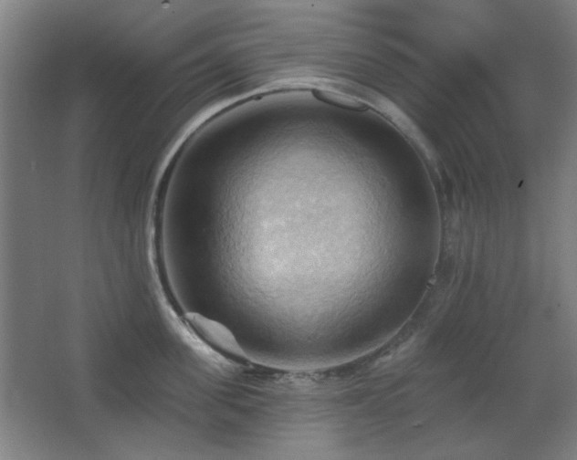 X0000068740955200604281136