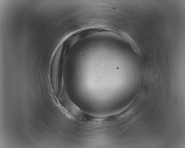 X0000068740956200604281136