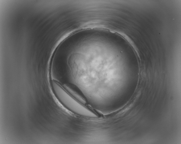 X0000068740957200604281136