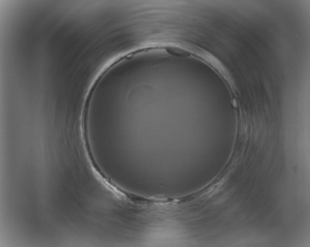 X0000068740958200604281136