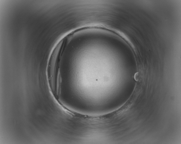 X0000068740959200604281136