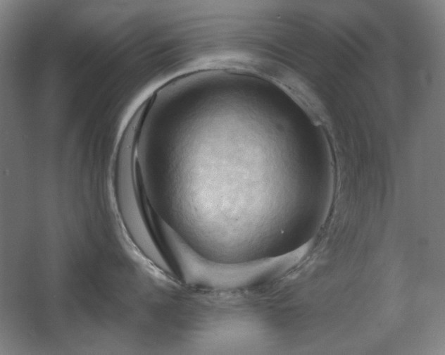 X0000068740960200604281136